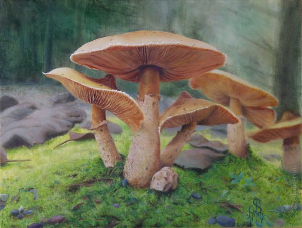 Painting of a grouping of mushrooms with moss in a forest setting